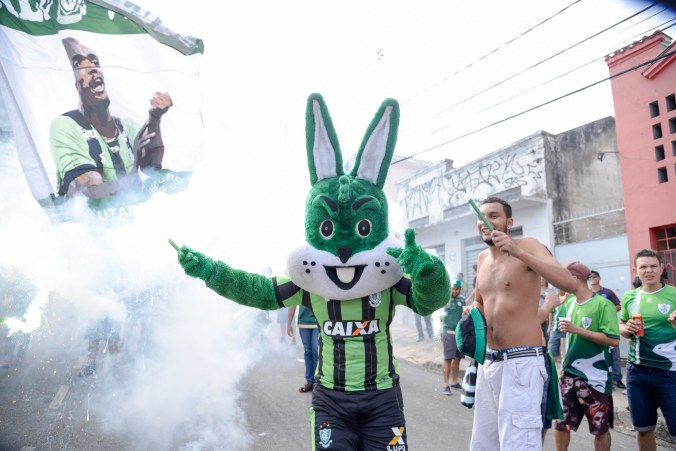 44729819284_776effa0d4_k